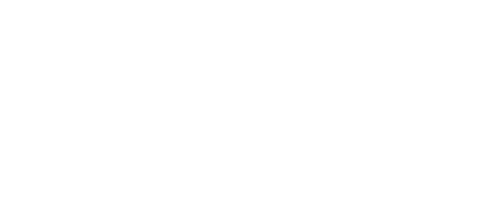 The Morning Show